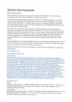 141 ILLECITO INTERNAZIONALE.pdf